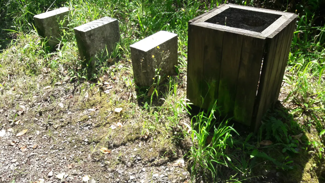 <p>O BNG ven de denunciar, como parte da s&uacute;a campa&ntilde;a polo mantemento de Outes, o estado lament&aacute;bel no que se atopa a zona do Alb&aacute;n. Como boa proba do estado no que se atopa, compartimos convosco esta galer&iacute;a.</p>
