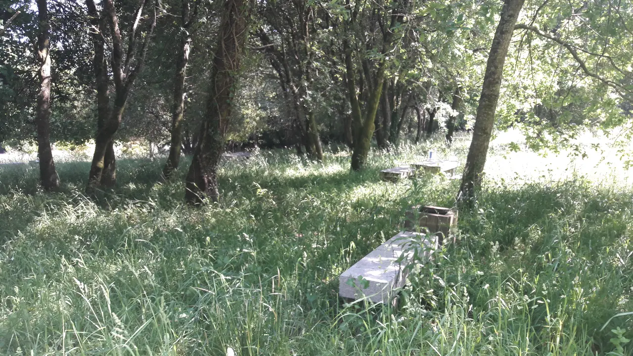 <p>O BNG ven de denunciar, como parte da s&uacute;a campa&ntilde;a polo mantemento de Outes, o estado lament&aacute;bel no que se atopa a zona do Alb&aacute;n. Como boa proba do estado no que se atopa, compartimos convosco esta galer&iacute;a.</p>
